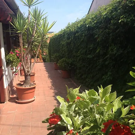 Pension Family Fabsits Couette-café 3*